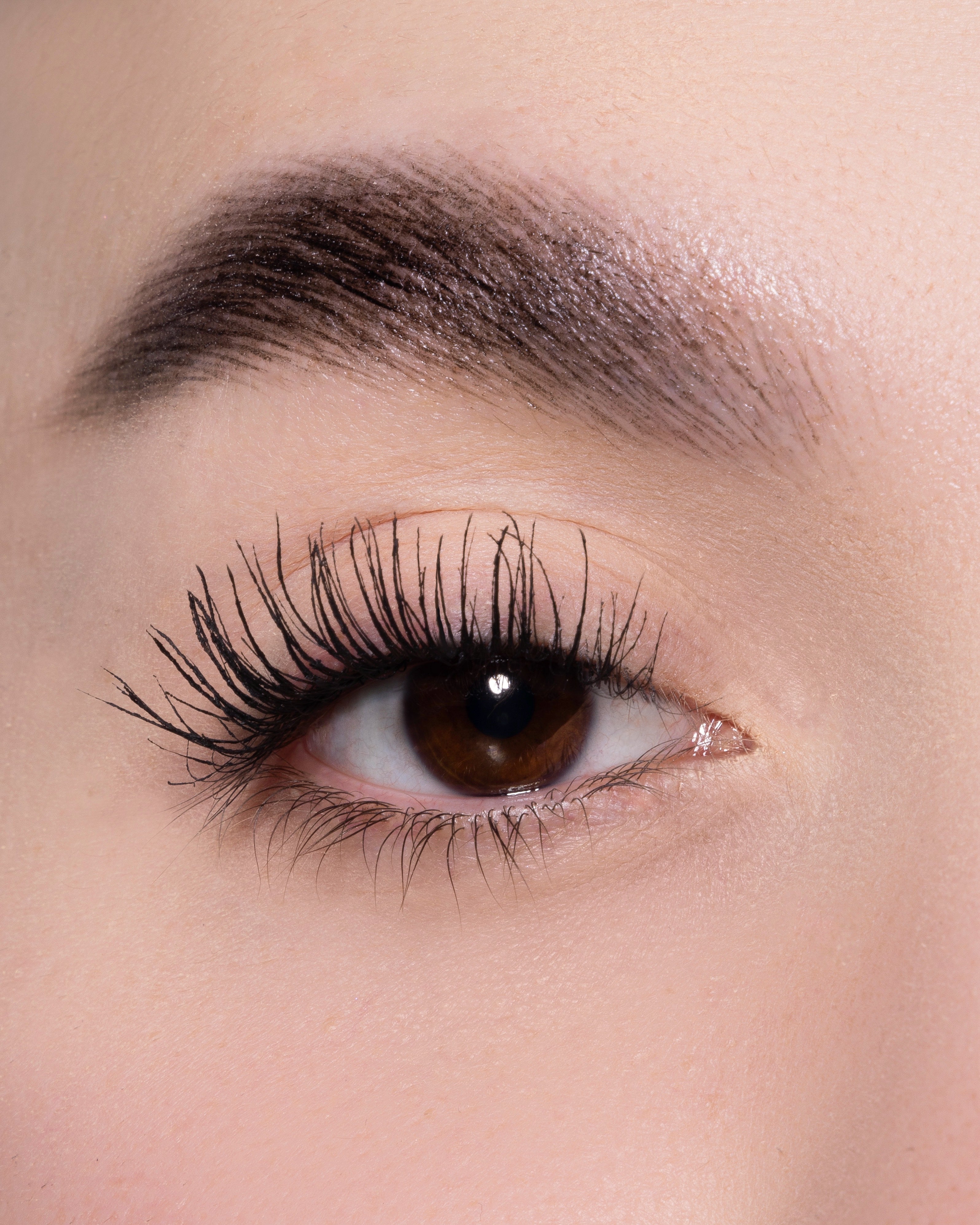 Anti Hacker Mascara